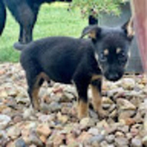 Meet your Posher, Ariana